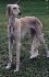 2 roky 8 mesiacov (2years 8month)