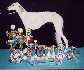 Toto s� moje poh�re a medaily! (3 roky/3 years od)