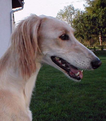 September 2003