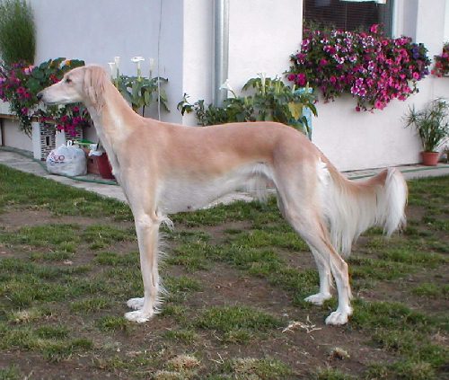 September 2004