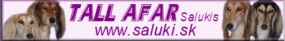 Tall Afar Salukis