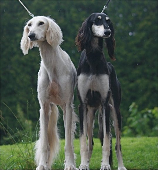 Firi and her sister Laura