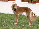Karim