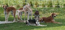 Group