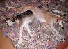 Spolu sa sp� najlep�ie (Layla a Sunny)