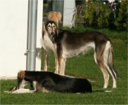 Layla & Bahiya