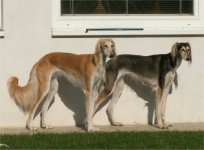 Sunny & Layla