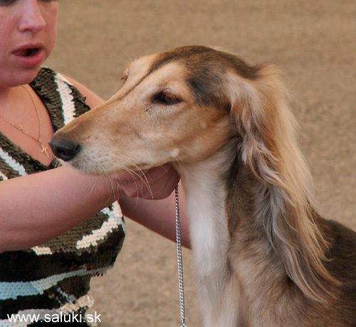 Euro Dog Show Tulln, A - 3.6.2005