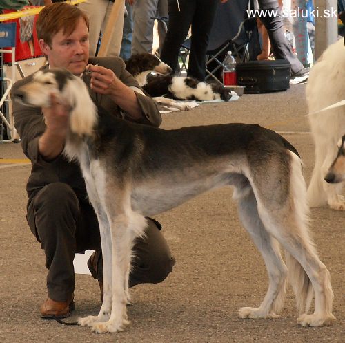 Euro Dog Show Tulln, A - 3.6.2005