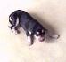 1 de� /first day