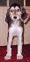7 t��d�ov / 7 weeks old