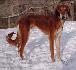 7 mesiacov / 7 month old
