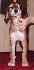 7 t��d�ov / 7 weeks old
