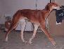 8 a pol mesiaca / 8 and half month old