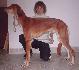 8 a pol mesiaca / 8 and half month old