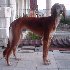 1 rok /1year