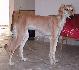 10 mesiacov /10 month old