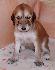 21 dn� / 21 days old