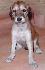 28 dn� / 28 days old