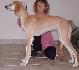 5 mesiacov / 5 month old
