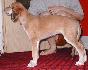 6 t��d�ov / 6 weeks old