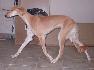 8 a pol mesiaca / 8 and half month old