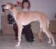 8 a pol mesiaca / 8 and half month old