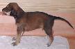 21 dn� / 21 days old