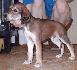 5 t��d�ov / 5 weeks old