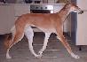 8 a pol mesiaca / 8 and half month old