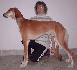 8 a pol mesiaca / 8 and half month old