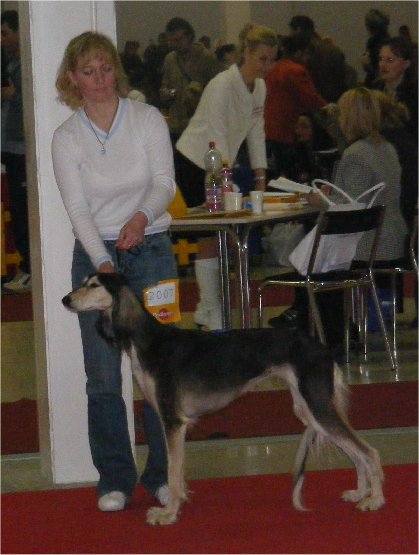 29.3.2009 CAC Nitra, SK - Bahiya Tall Afar